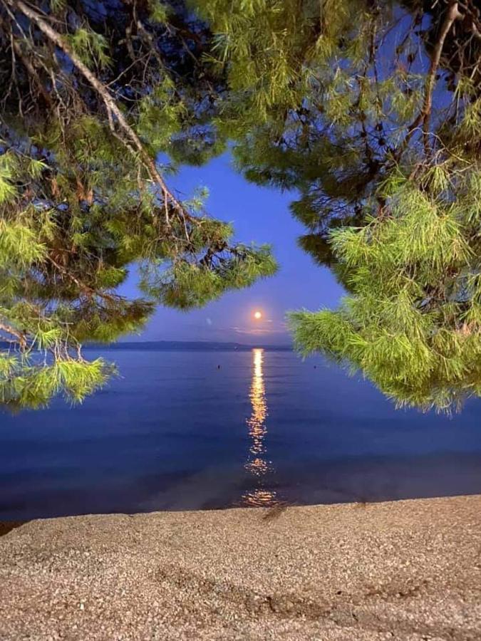 Apartman Magdalena Galileo Plaza Makarska Eksteriør bilde